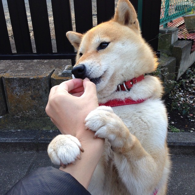 拉文爆发狂砍40+步行者关键战险胜热火突围成功