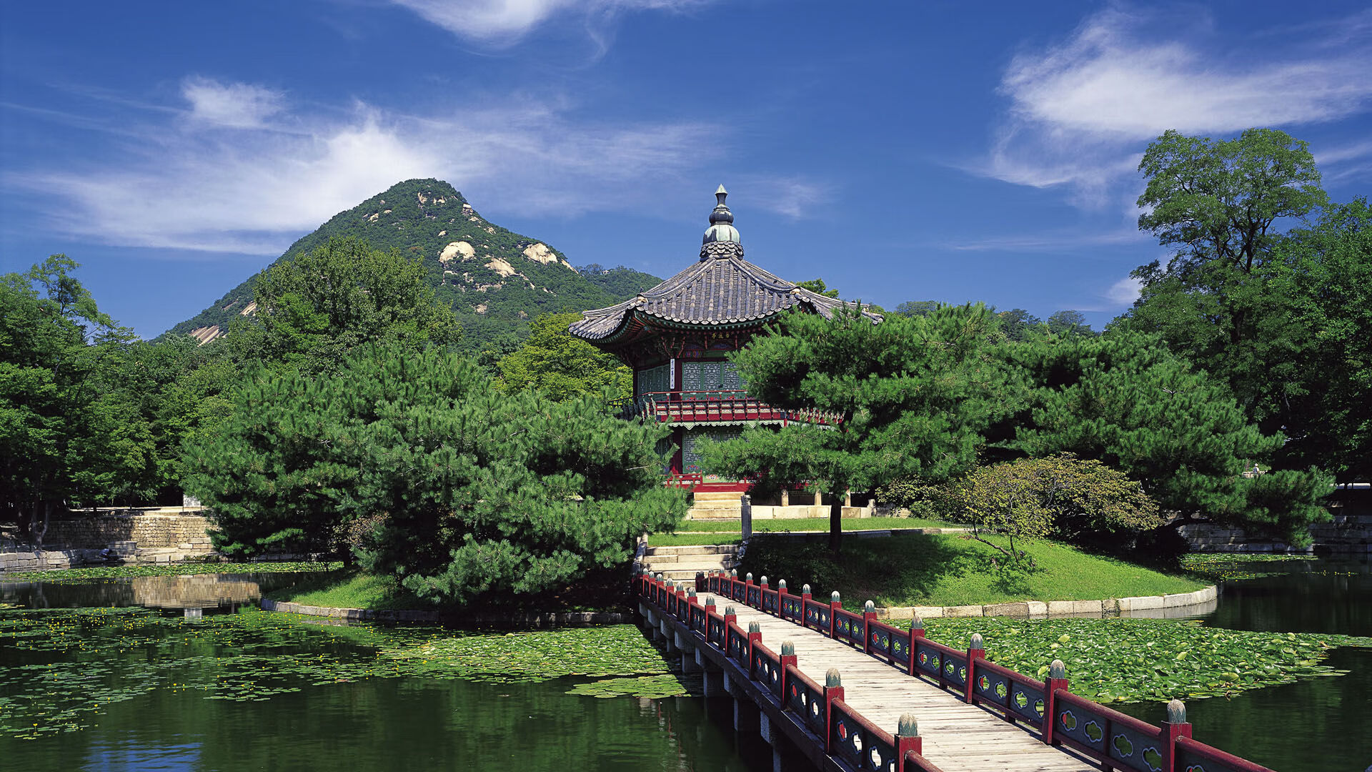 血与铁的对决，浙江力克掘金，戈贝尔上演现代中锋教科书