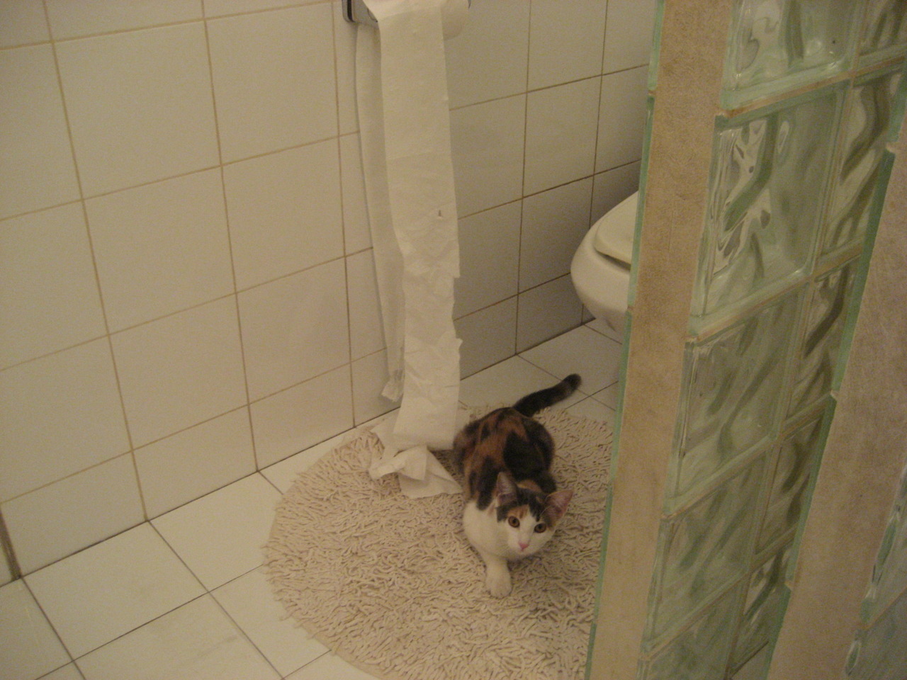 绿茵代码,佩德里的完美算法与新西兰的数字加纳