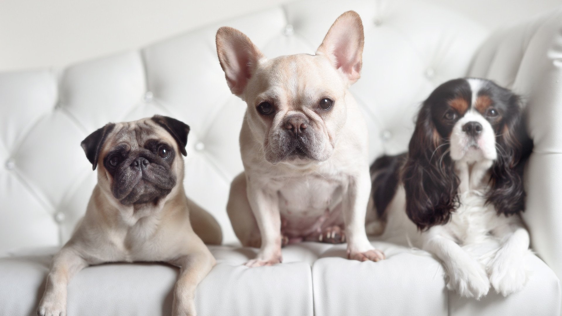 德罗赞的孤星坠落，凯尔特人以联盟最残酷的方式，诠释了现代篮球的终极答案