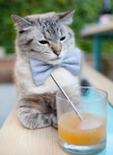 绿茵绝唱与孤胆雄心，那些在深渊边缘起舞的孤勇者