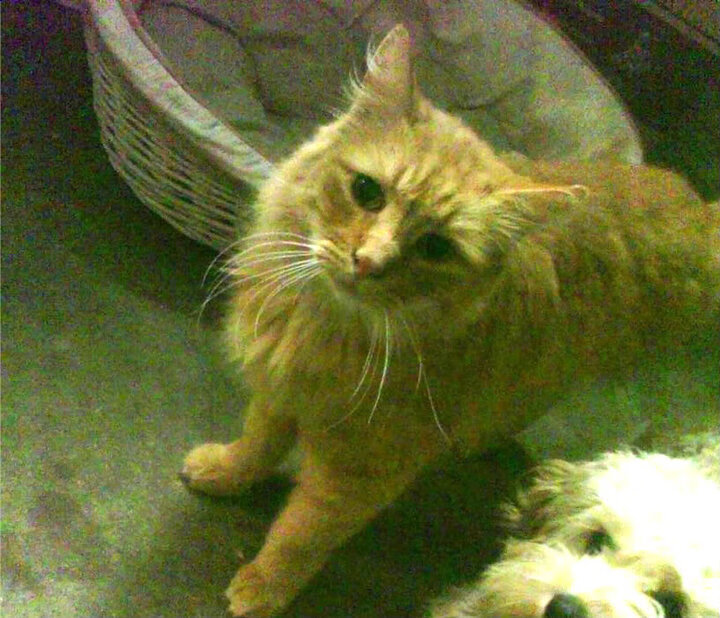 压哨绝杀，哈弗茨与乌克兰，如何用最后一击改写命运剧本？