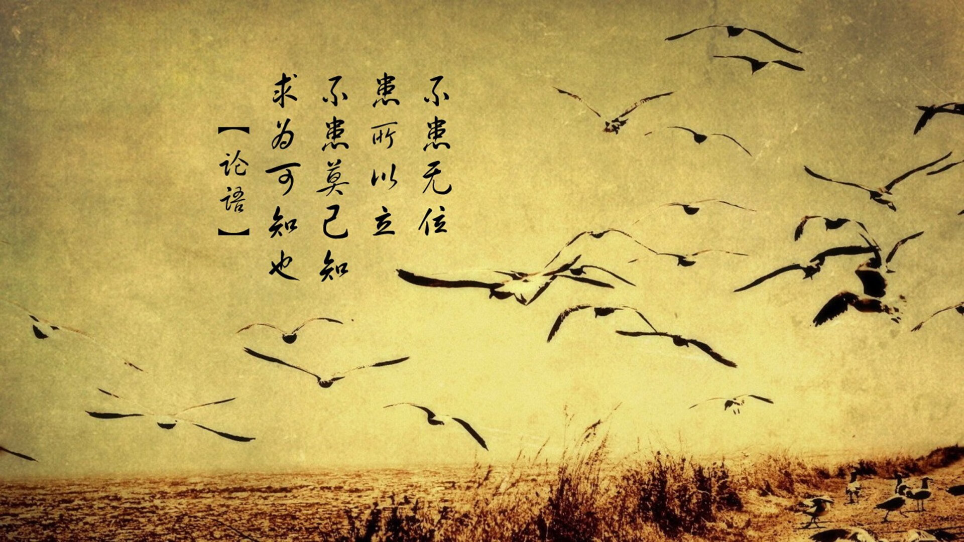 西甲国家德比焦点战，太阳决胜局带走雷霆的启示