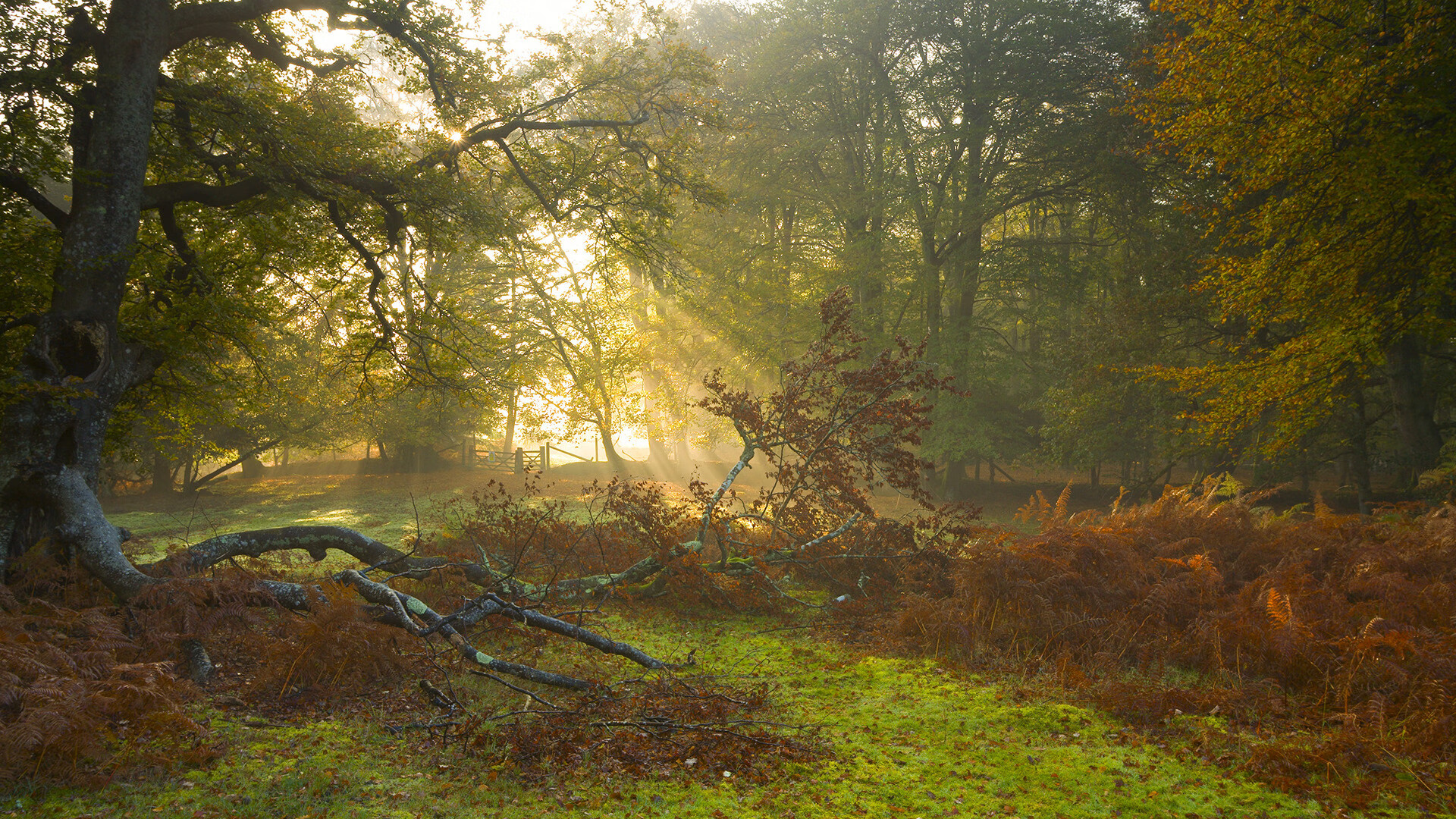 全球舞台下的地方荣耀，西亚卡姆爆发助浙江队最后时刻惊险击败雷霆