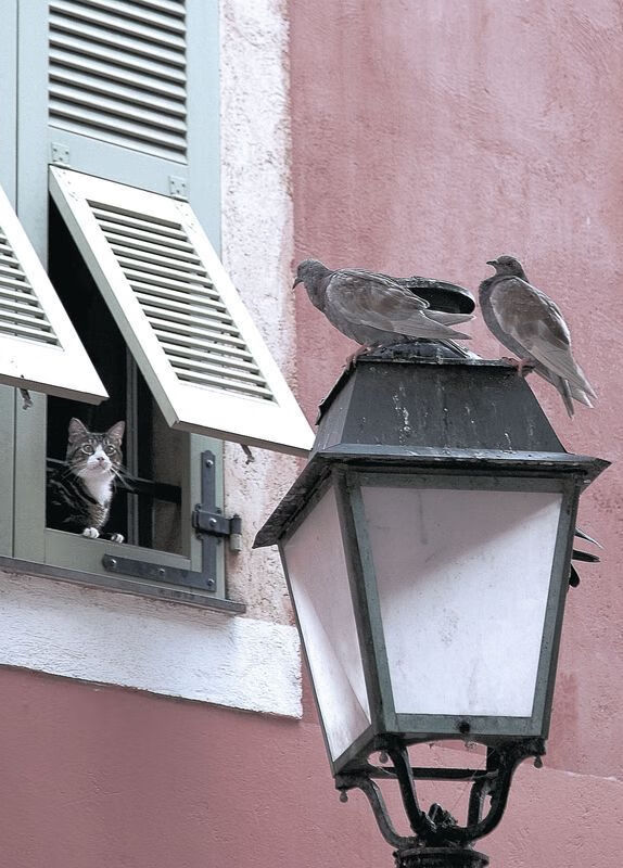 棋子抑或棋手，日本外交如何在伊拉克战争棋盘上将军美国