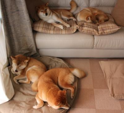 无声的引信，大场面先生罗德里如何用足球最昂贵的沉默决定冠军归属