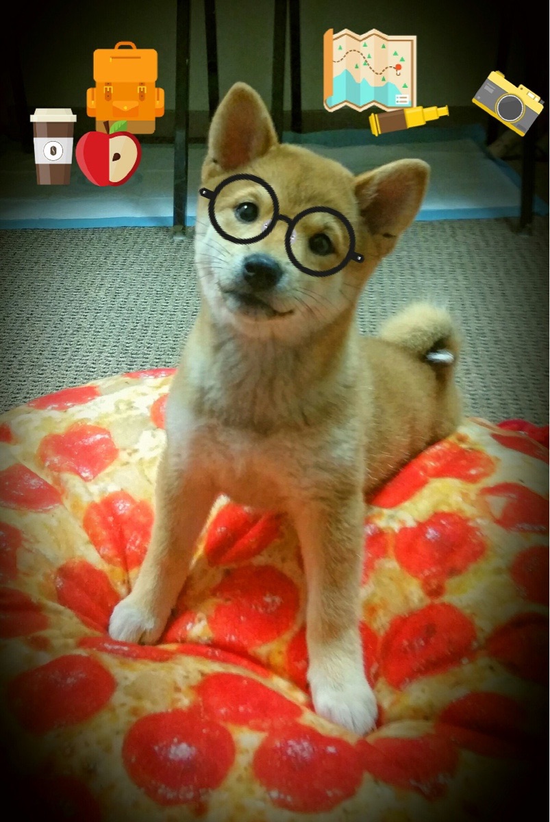 雷霆核心风暴，哈利伯顿绝境时刻奠定胜局，雷霆加时险胜公牛