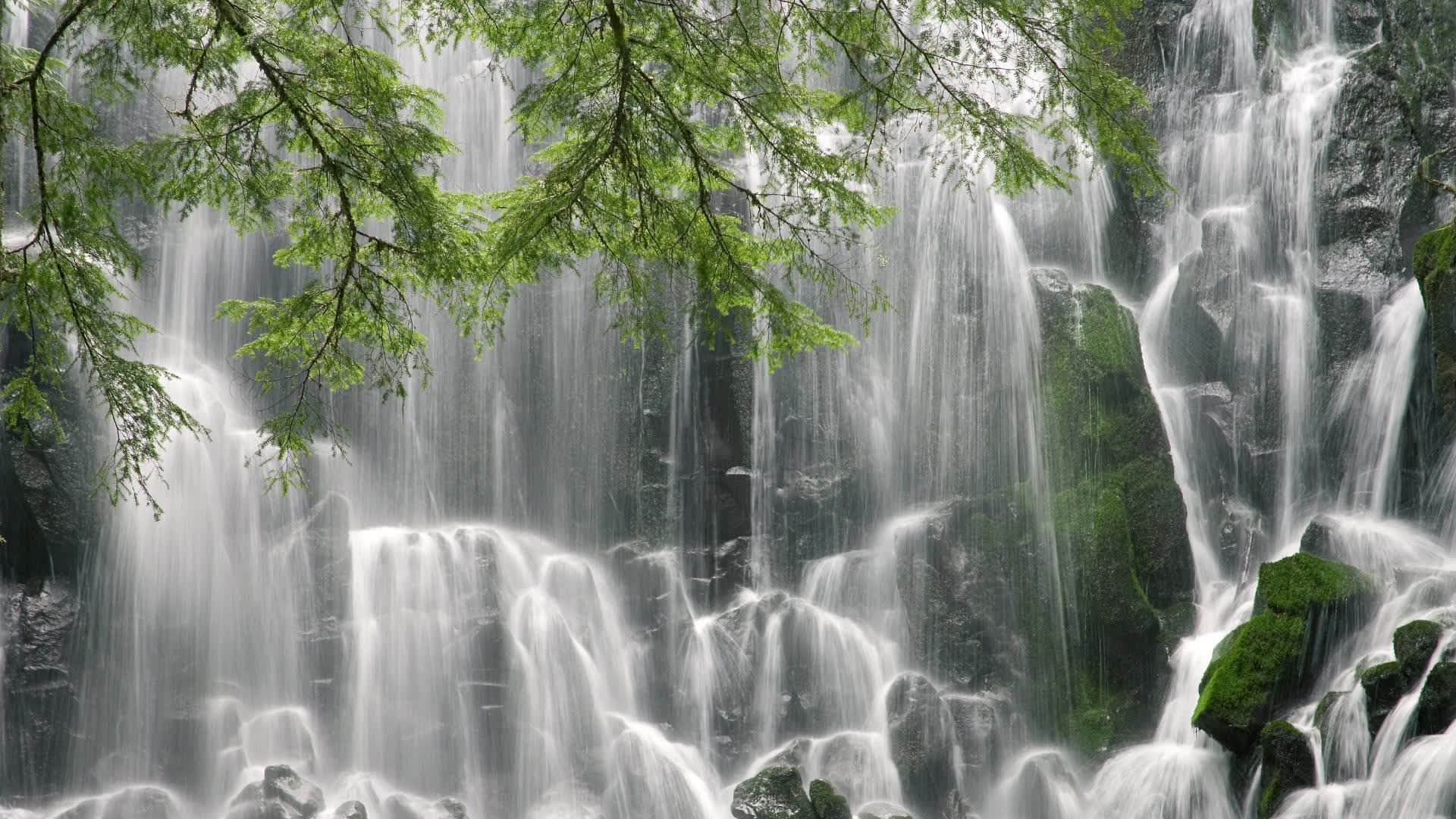 那片沙漠，那场雨，2026，内马尔与他的最后一届世界杯