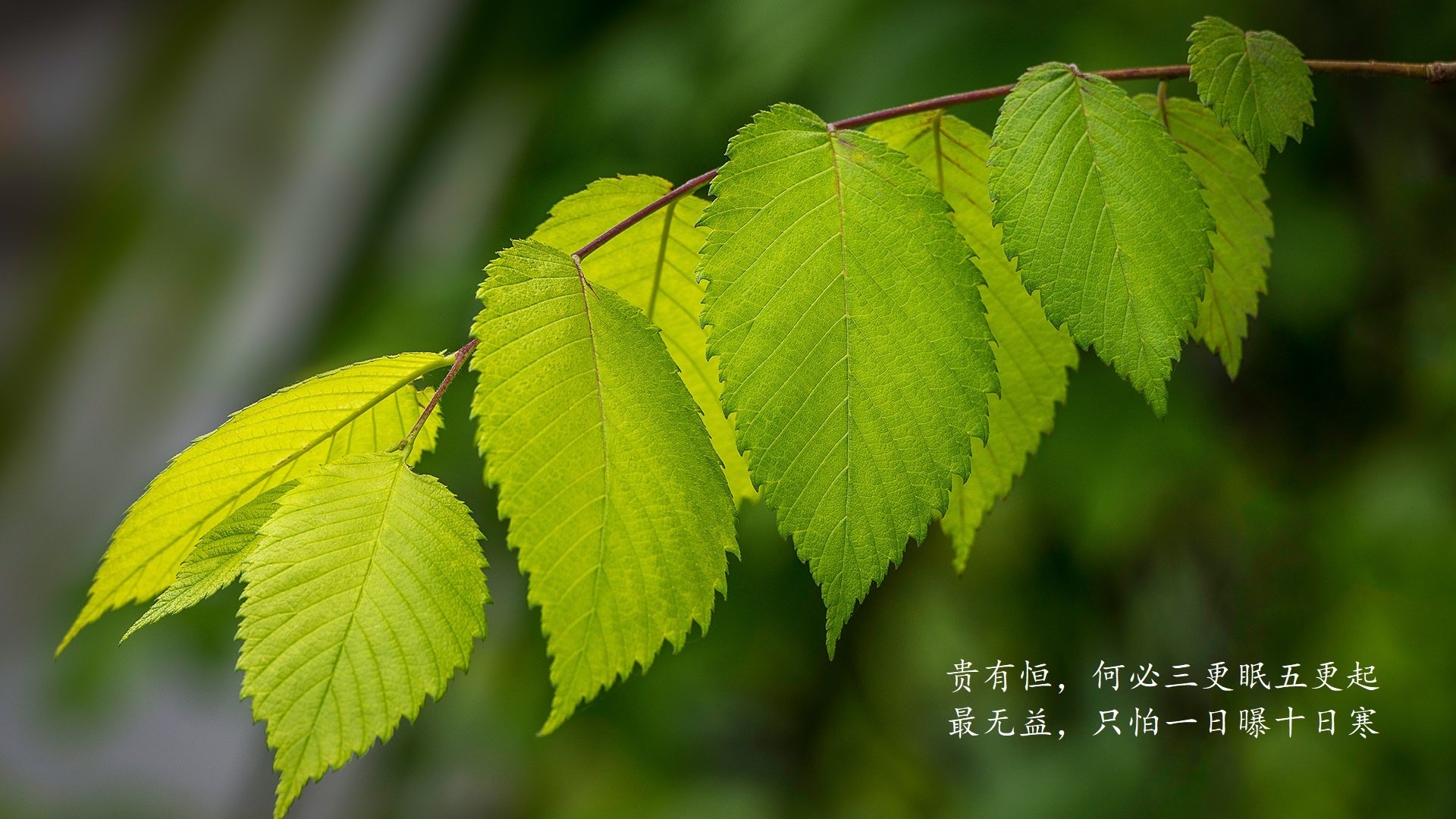 扩展与构思